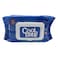 Coolbaby Wet Wipes 8039S