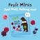 Bear Paws Pure Fruit Snacks, Raspberry and Blueberry, 20g