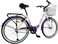 Mogoo Floress 26 Inch Bicycle Single Speed (Purple)