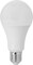 MAXWELL LED Bulb, Indoor or Outdoor Non-dimmable LED Light Bulbs