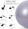 ULTIMAX Yoga Ball, Exercise Ball for Fitness-65CM(Grey)