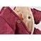 Hong Pet Waist Coat For Pets - Red L