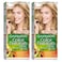 Garnier Hair Color Natural Extra Light Blond No.9 2 Pieces