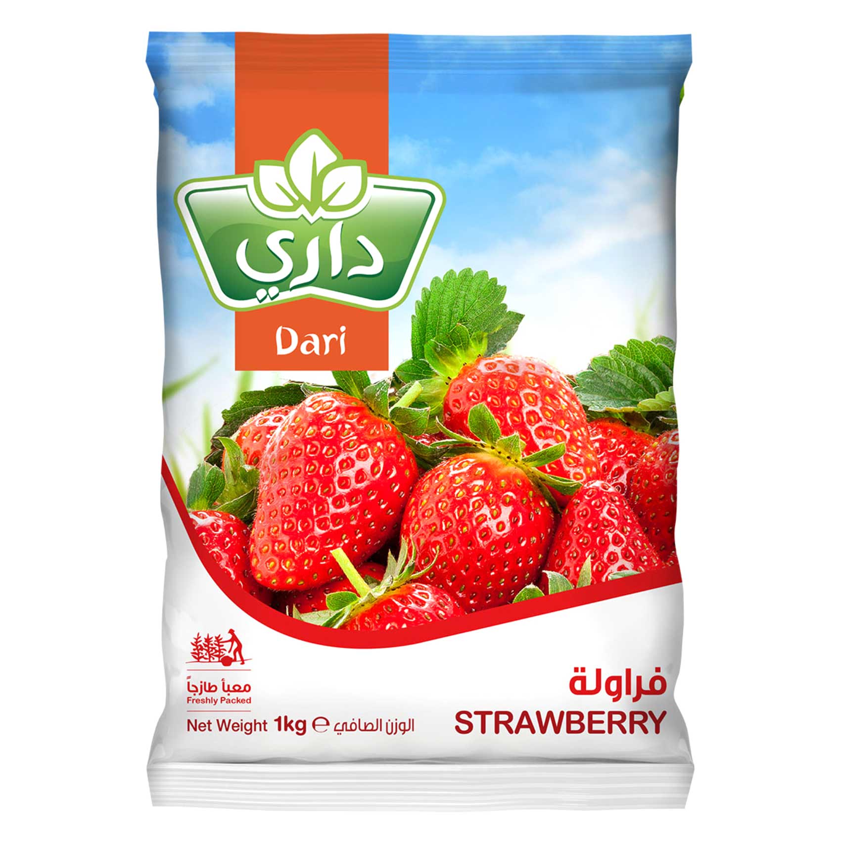 داري فراولة مجمدة 1 كج