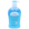 Caresse Naturals Anti Bacterial Hand Wash Softens &amp; Moisturizes 500ml