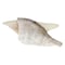 Frozen White Snapper Fish Fillet