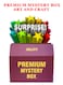 Premium Mystery Box Art and Craft