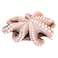 Fresh Octopus