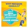 Nesquik Whole Grain Chocolate Cereal, 330g Pack of 2