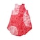 Ladies Umbrella Dress Assorted Design/Color Free Size