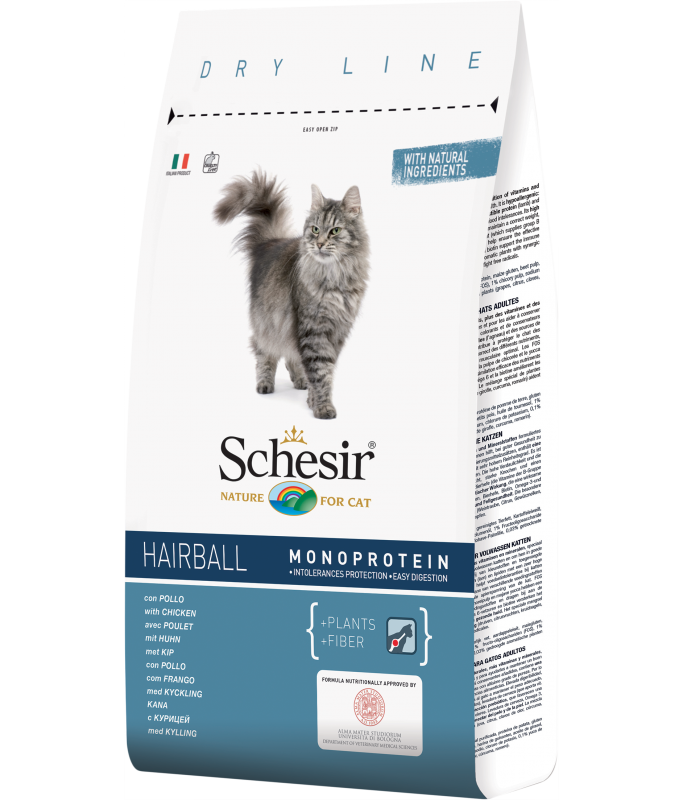 Buy Schesir Cat Dry Food Hairball With Chicken Online | Carrefour UAE