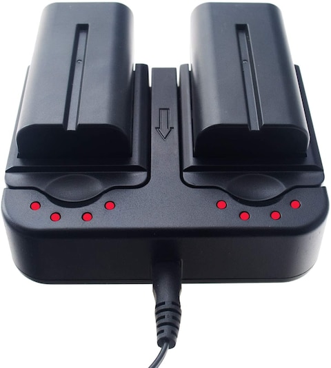 DMK Power NP-F550 Camera Battery and PN 201 Charger Set for Sony Cameras (2-Pack Replacement Battery Kit, Dual Slot Charger with Car Cable Input, 100% Compatible with Original)