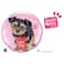 Qualatex Studio Pets Love You Terrier Foil Balloon- 18-Inch Size