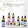 Water-Soluble Oil, Essential Oils For Aromatherapy 7 Kinds of Fragrance (10ML)