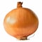 Yellow Onion