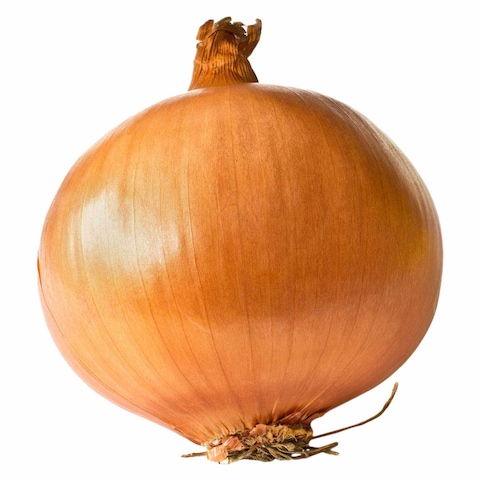 Yellow Onion