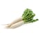 Fresh White Radish (Ruwaid)
