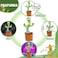Dancing Cactus Toy for Toddler, Baby, or Kids, Funny Early Childhood Education, Sing Repeat and dance