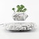 Zgsalvation Magnetic Levitating Flower Pot, Rotation Planters, Suspension Flower Floating Pot, Simple Ornament For Home Office Desk Decor