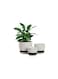 Vsell24 Ceramic Flower Plant Pots Black And White Striped with Saucer for Indoor And Outdoor Garden, Fruits, Vegetable Plantation-M