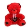 Bear Stuffed Toy