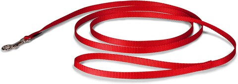 Buy Petmate Nylon Dog Leash 5/8"X4 Red in UAE