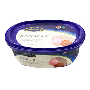 Dairyland Neopolitan Ice Cream 1L