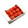 Organic tomato big box 4.8 Kg
