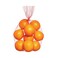 Organic Orange Navel Per Pack