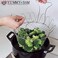 304 Stainless Steel Foldable Steam Rinse Strain Fry Basket Strainer Net Kitchen Cooking Tool for Fried Food or Fruits