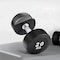 Harley Fitness Commercial Dumbbells - TPU - Dynamic Strength and Stability (17.5, Kilograms)
