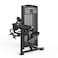 Insight Fitness Re Series Biceps Curl