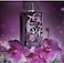 Lalique Amethyst Exquise Women Eau De Parfum - 100ml