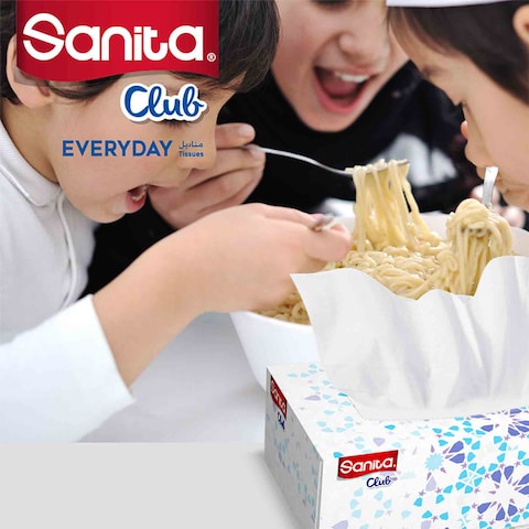 Sanita Club Facial Tissue 2 Ply 76 Sheets