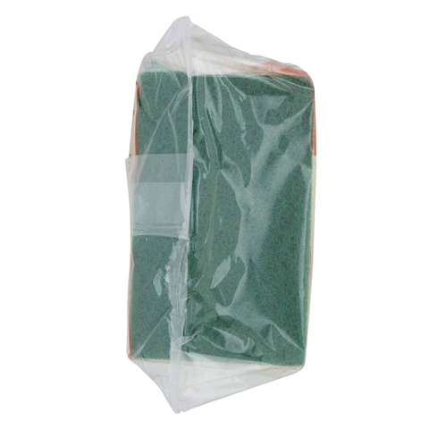 ARIX  SPONGE SCOURER X5