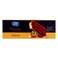 Dandy Premium Ice Cream Almond Stick 65ml
