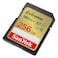 SanDisk Extreme V30 Class 3 SDXC-I Memory Card 256GB Multicolour