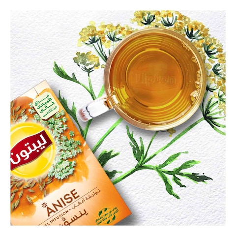 Lipton Herbal Infusion Tea Anise 20 Teabags