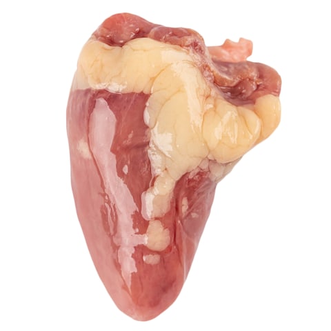 Fresh Chicken Heart