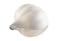 SNIPS 24 PCS GARLIC KEEPER, WHITE, SN-000183