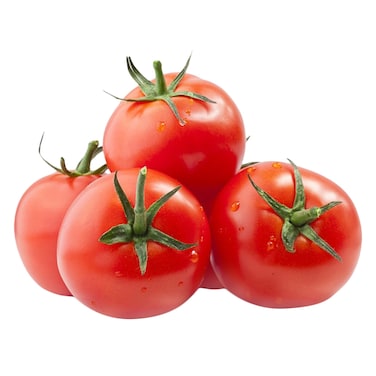 Dava Hydroponics Tomatoes 
