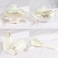 XIANGYU Dinner Set Porcelain Gold, 115pcs tea set; 10'5 flat plate- (12) , 8' soup plate- (12) 8' flat plate- (12), 7'5 flat plate- (12) 6' salad bowl- (12), 'tea pot (1set)- (2) Tea cup/Saucer(12set)