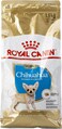 Royal Canin Bhn Chihuahua Puppy 1.5 Kg Breed Health Nutrition Dog Food, Multicolor, 02Rcchj1.5, Chihuahua Puppy Dog Dry Food