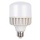 ICC Bulb 6000-6500K 40W