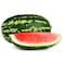 Dark Green Watermelon Long