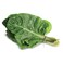 Nidal Organic Chard