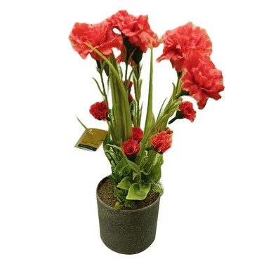 MyChoice - Artificial Carnation And Grass
