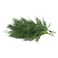 Dill Pack 50G