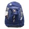 Kings School Bags  482