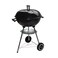 Barbeque Grill TBQ008